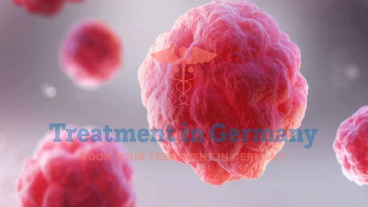 Dendritic Cell Therapy for Triple-Negative Breast Cancer