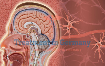 Dendritic Cell Therapy and the Blood-Brain Barrier