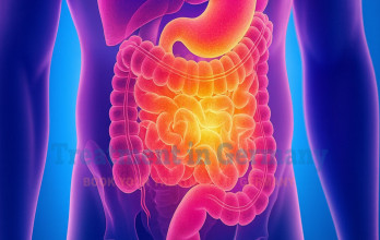 Small Bowel Cancer Treatment with Dendritic Cell Therapy in Germany