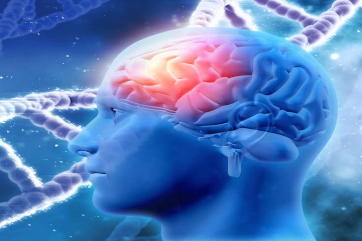 Neurology