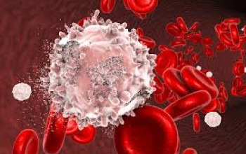 Hematology and Oncology
