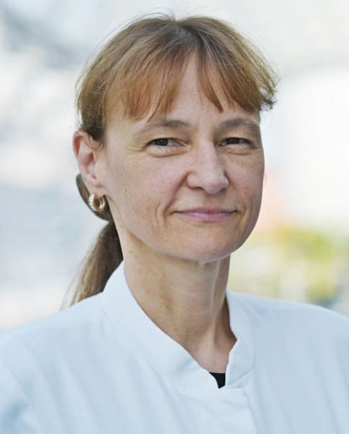Prof. Dr. med. Claudia Spies
